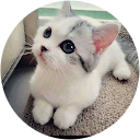 Cathia profile picture
